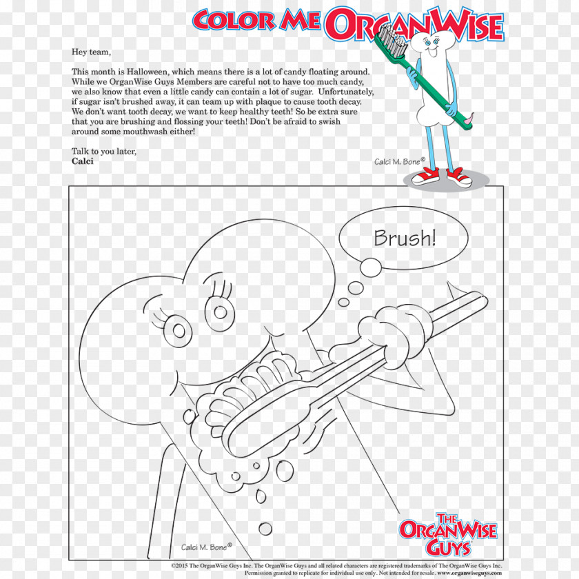 Tooth Germ Coloring Book Child Brushing Drawing Human PNG