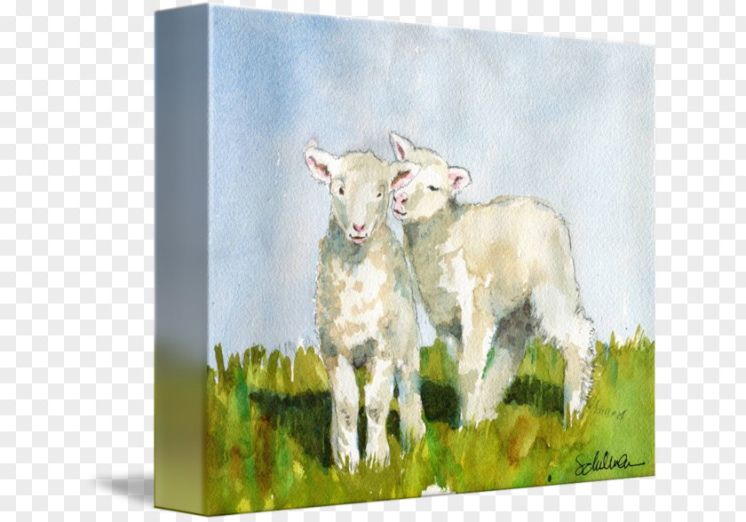 Watercolour Animals Goat Cattle Sheep Caprinae Painting PNG