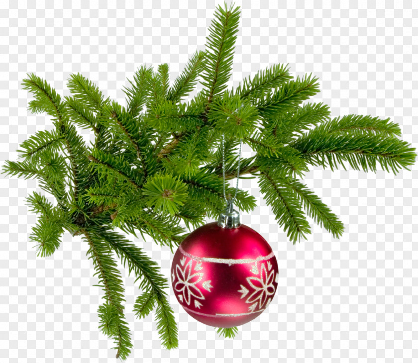 Christmas Santa Claus Fir New Year Bombka PNG