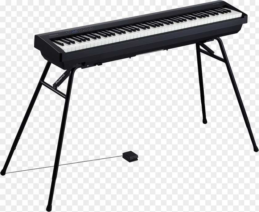 Digital Piano Yamaha P-115 Roland FP-30 Musical Instruments Corporation PNG