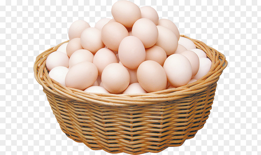 Egg Chicken Century PNG