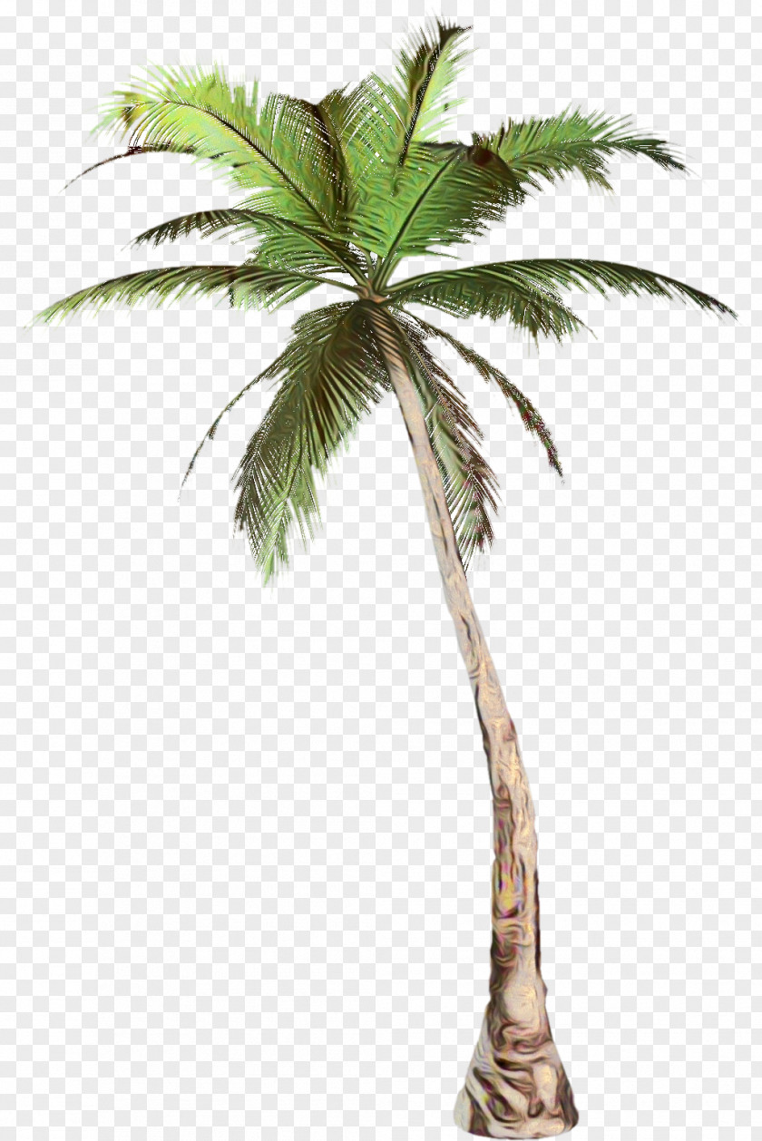 Elaeis Desert Palm Tree PNG