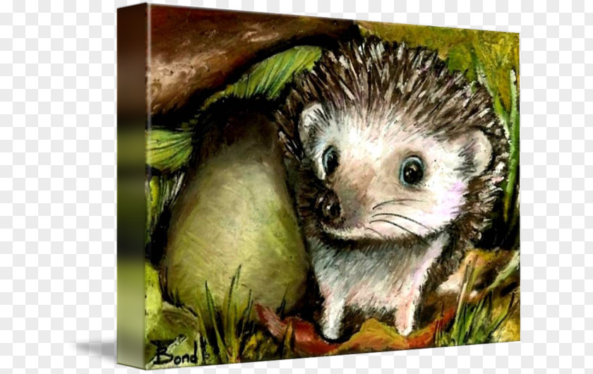 Hedgehog Domesticated Common Opossum Porcupine Gallery Wrap PNG