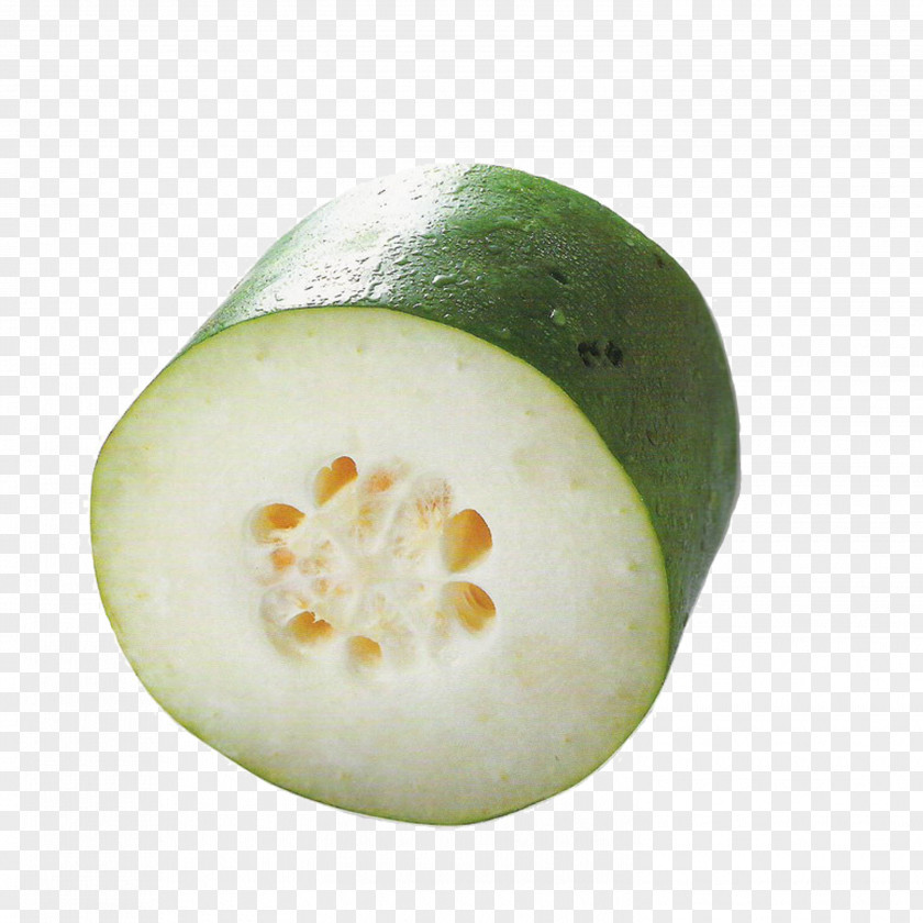 Melon Vegetable Eating Food Wax Gourd PNG