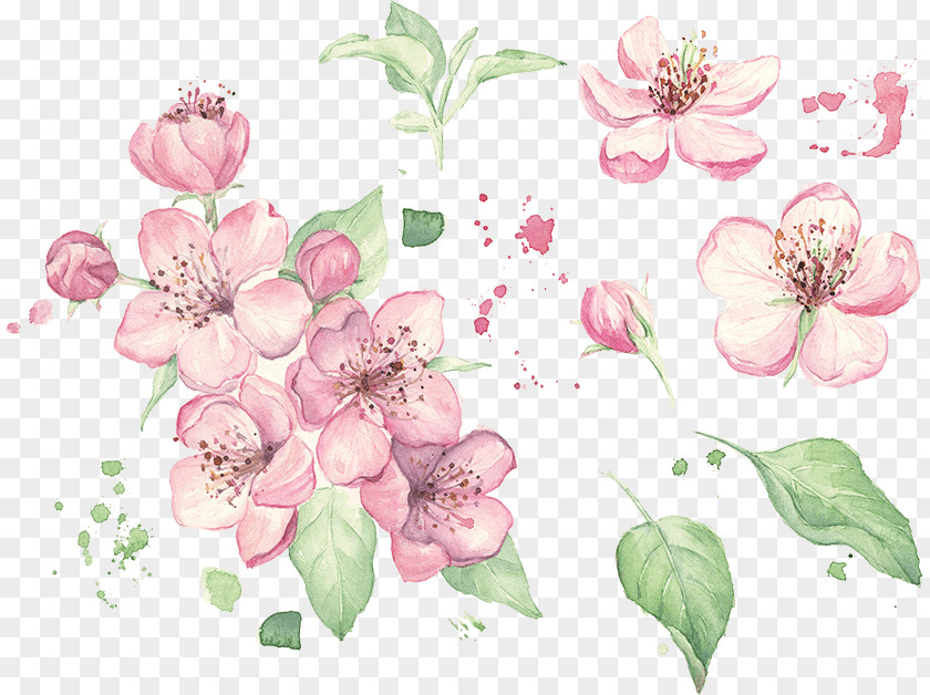 Painting Floral Design Watercolor Stock Photography PNG