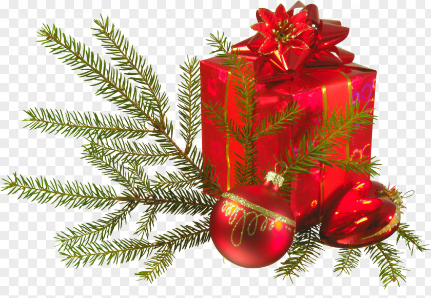 Reunion Christmas Ornament Gift-bringer Santa Claus PNG