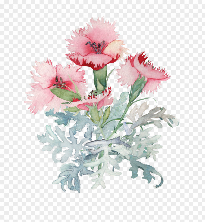 Watercolor White Flower Watercolour Flowers Painting Drawing PNG
