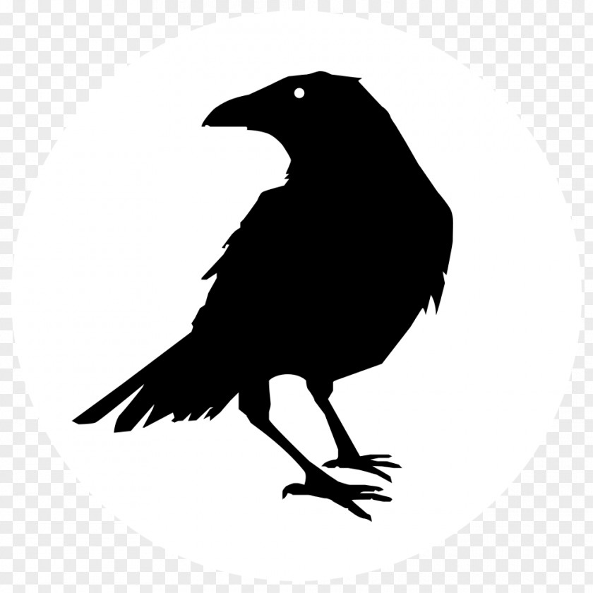 Crow The Raven Common Clip Art PNG