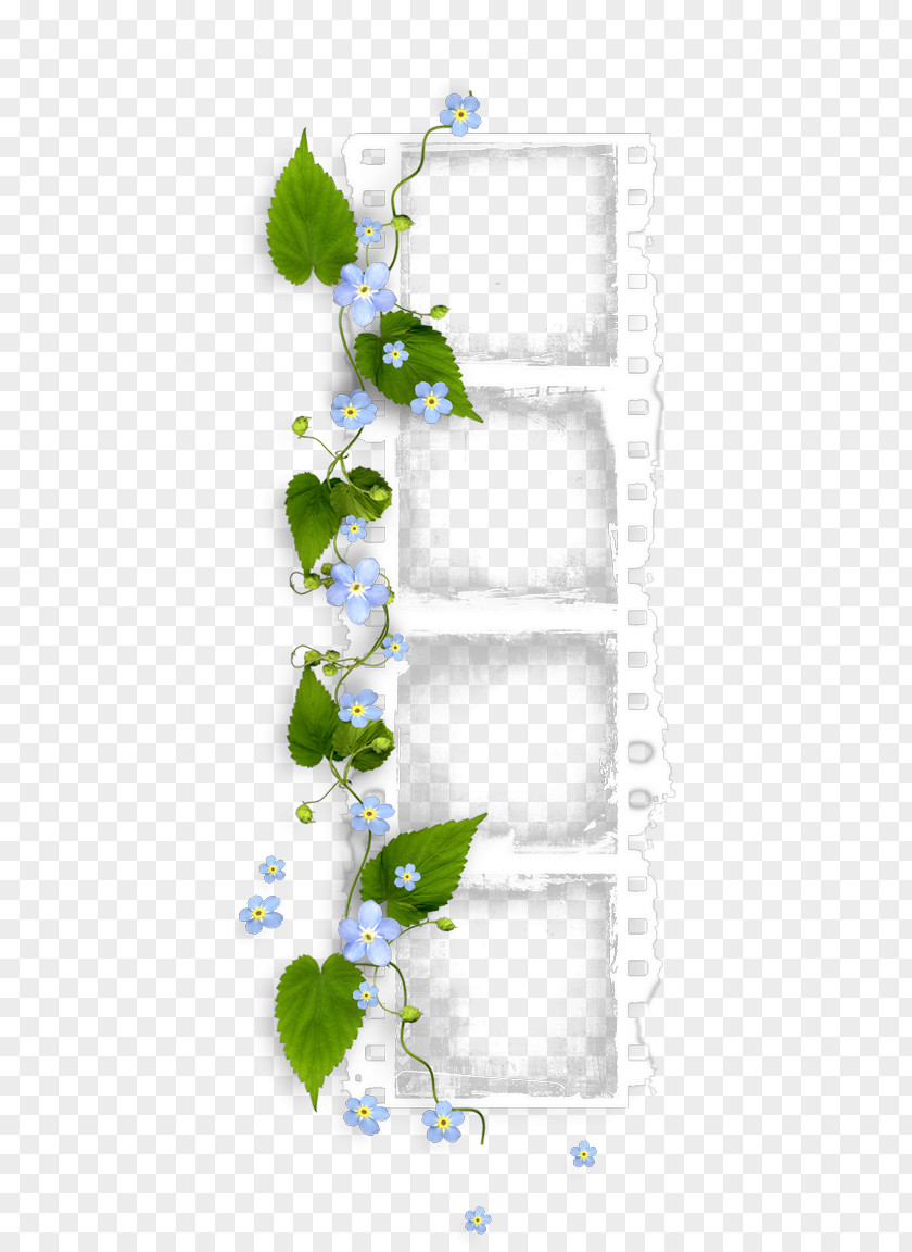 Forget Me Picture Frames Image Text Illustration Design PNG