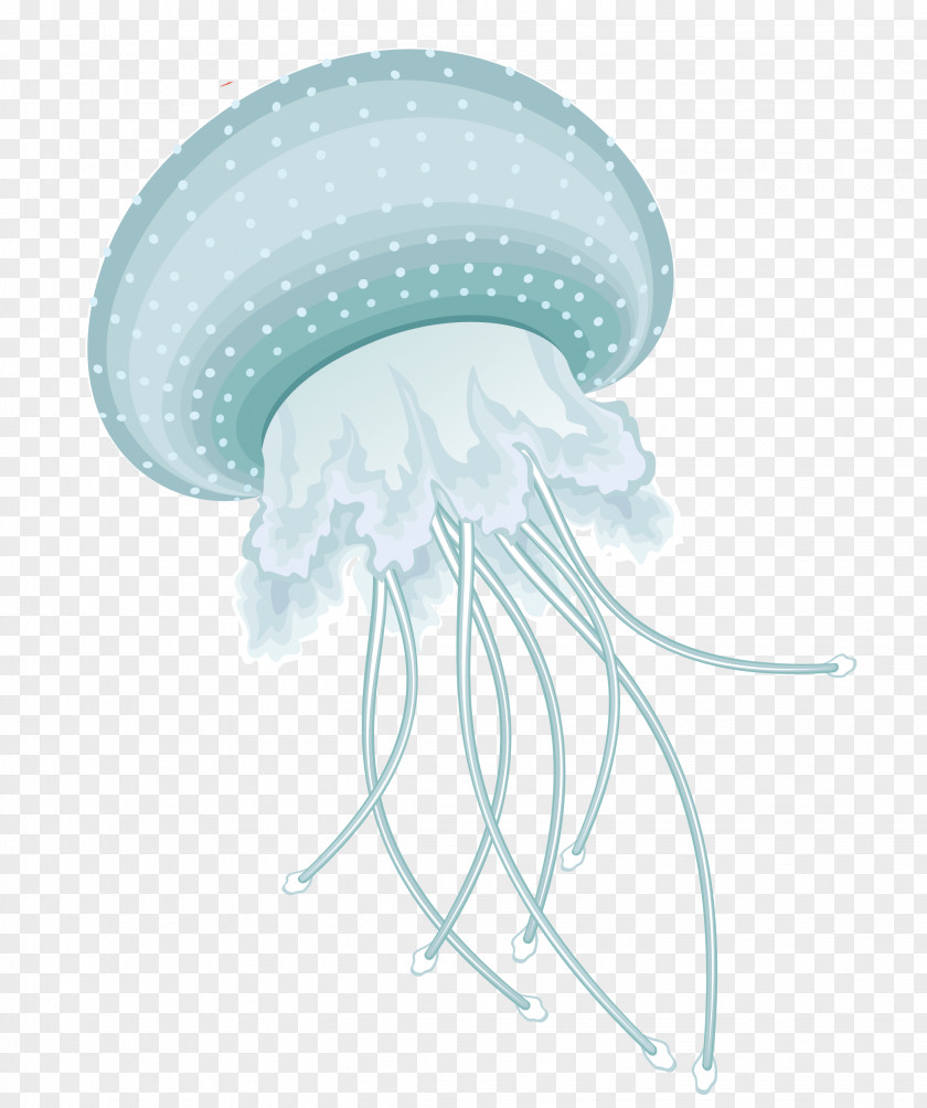 Jellyfish Information Clip Art PNG