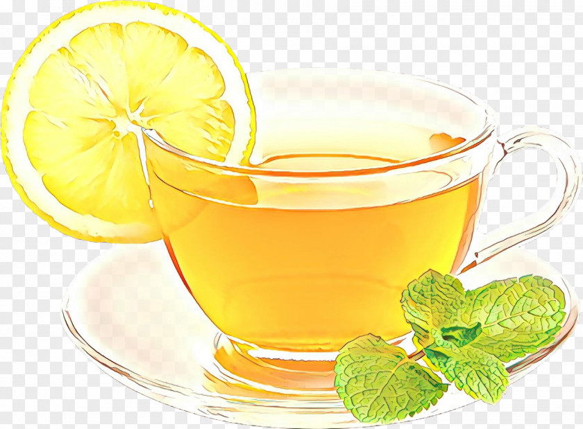 Liqueur Food Lemon Drink Citrus Grog Lemon-lime PNG