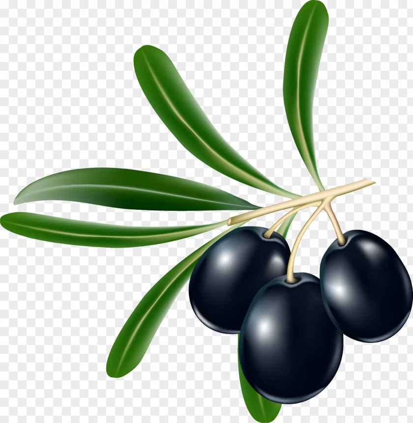 Olive Leaves Tapenade Greek Cuisine Mediterranean Kalamata PNG