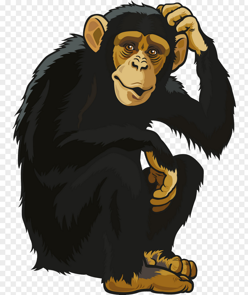 Primate Ribbon Chimpanzee Ape Clip Art Vector Graphics PNG