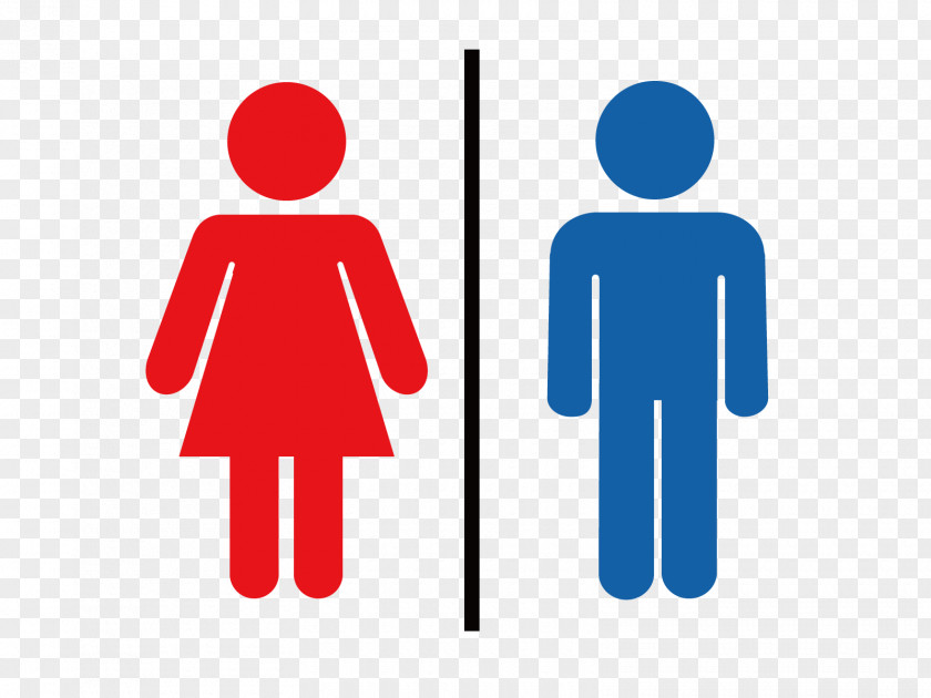 Toilets Female Woman PNG
