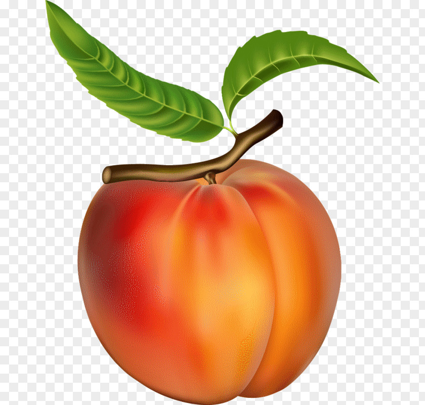 Juice Peach Clip Art PNG