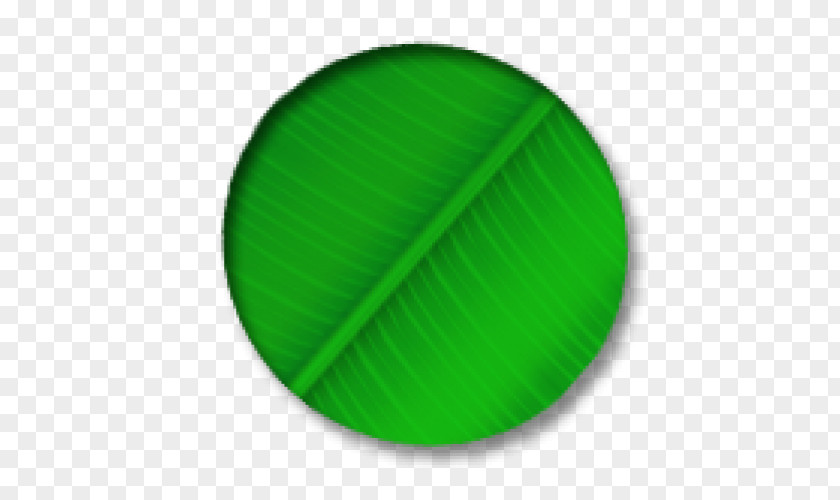 Leaf Paper PNG
