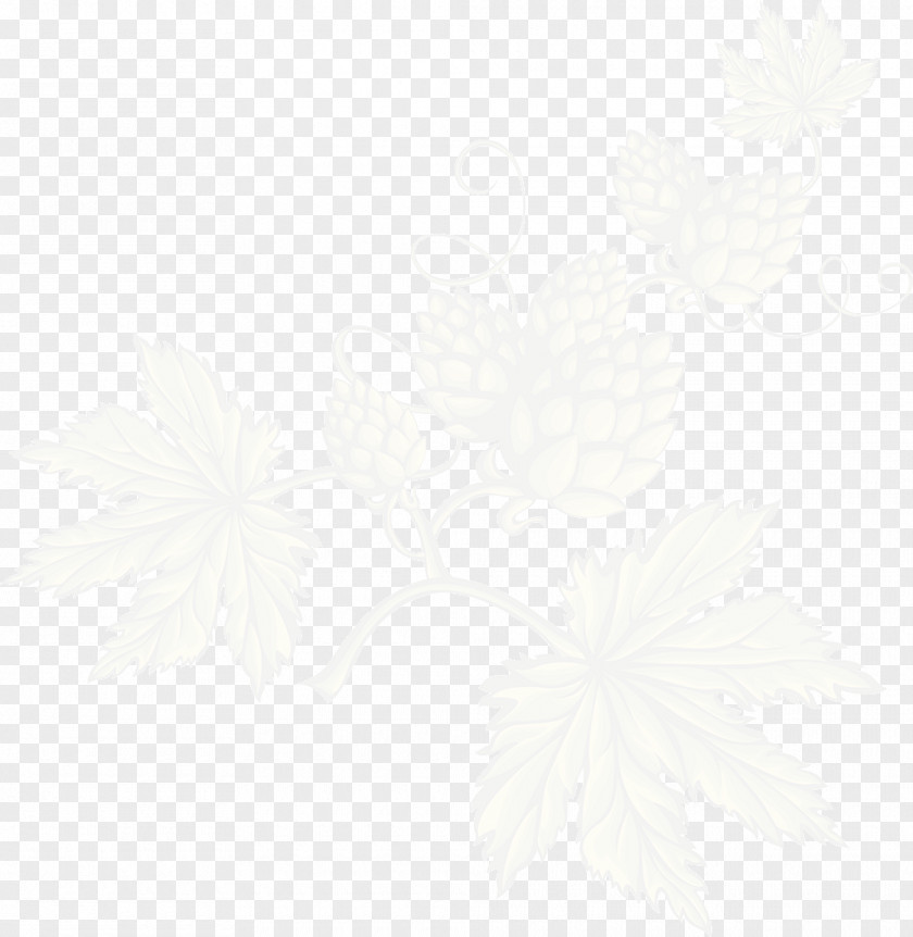 Leaf Petal White Home-Brewing & Winemaking Supplies Wallpaper PNG