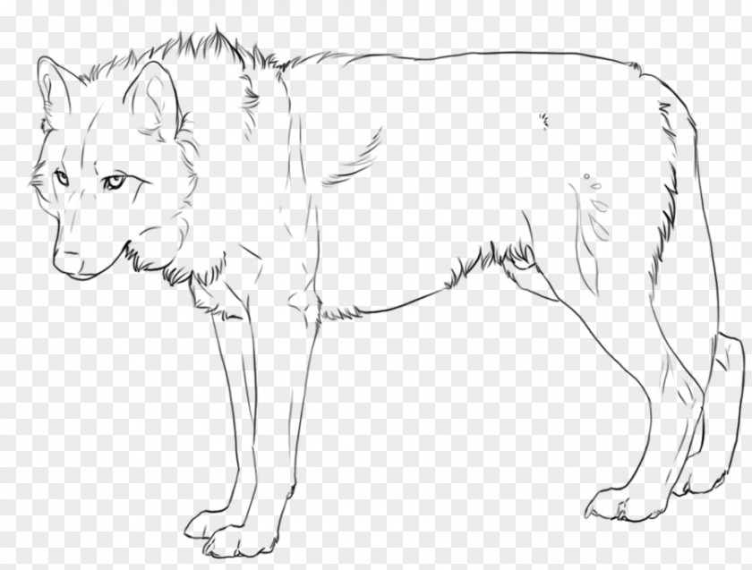 Lion Line Art Dog Drawing PNG