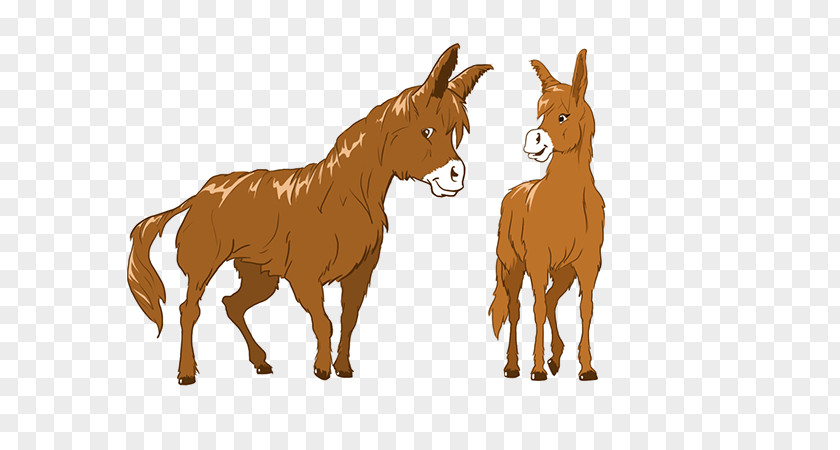 Poitou Donkey Mule Foal Cattle Mustang PNG