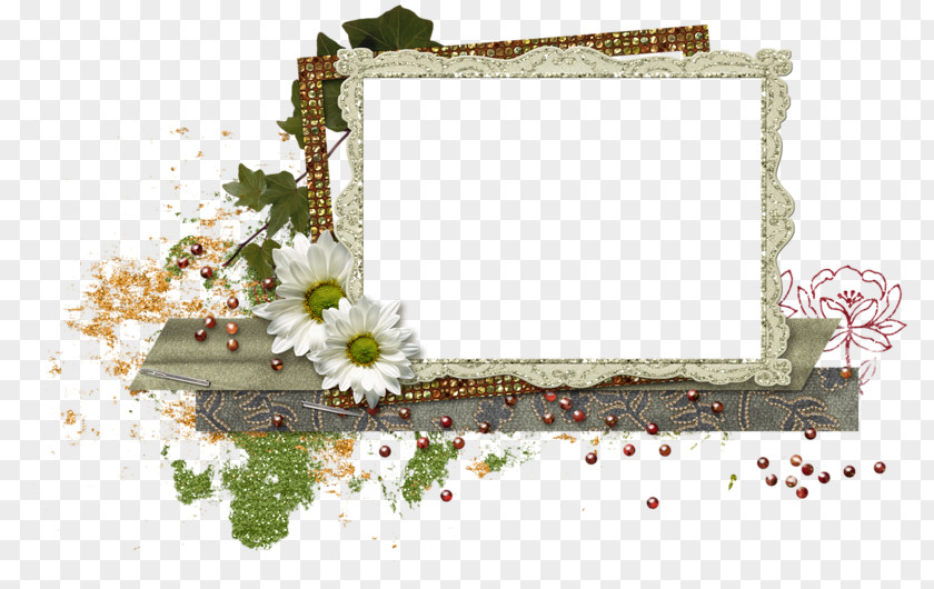 Psd Frame Image Clip Art Picture Frames PNG