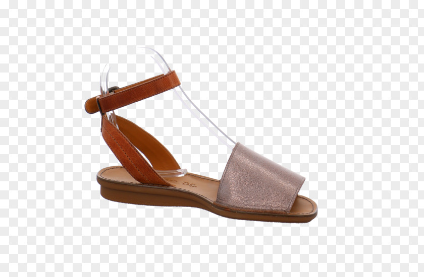 Sandal Shoe PNG