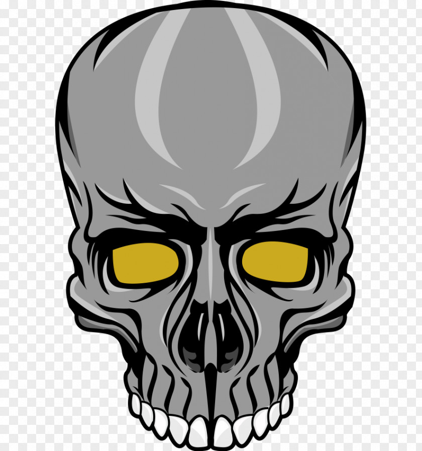 Skull Face Facial Hair Head Jaw PNG