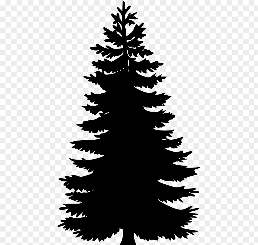 Tree Silhuette Pine Fir Spruce Clip Art PNG