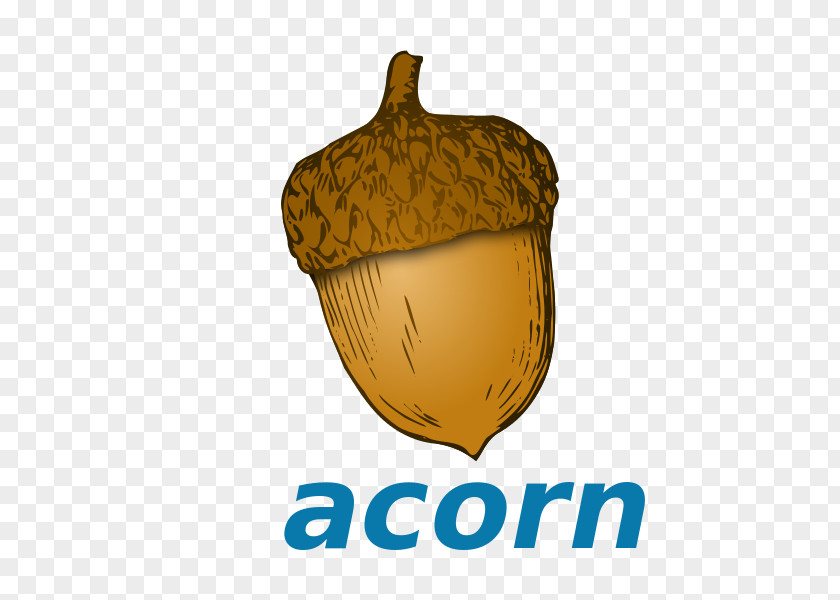 Acorn Clip Art PNG