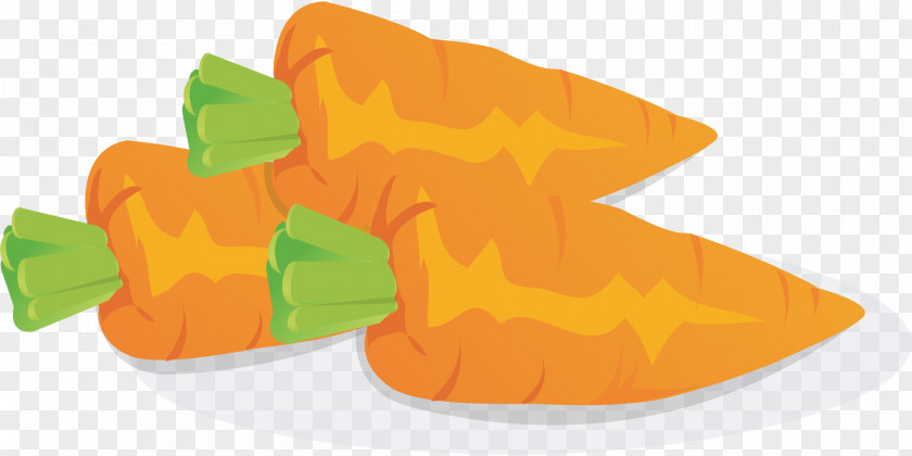Carrot Vegetable PNG