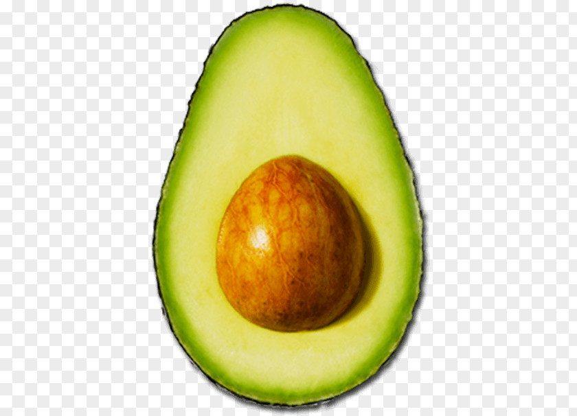 English Certificate Avocado Superfood PNG