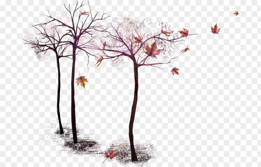 Portable Network Graphics Tree Twig PNG Twig, tree clipart PNG