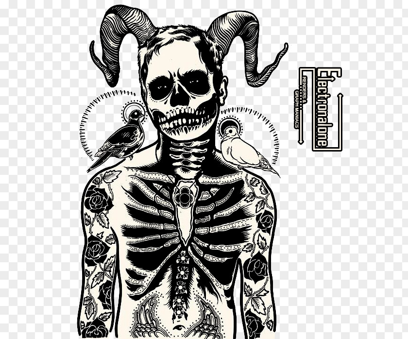 Skull Drawing Human Skeleton PNG