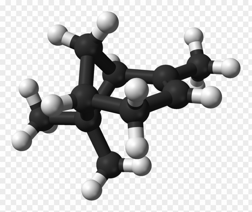 Terpene Alpha-Pinene Molecule Beta-Pinene PNG