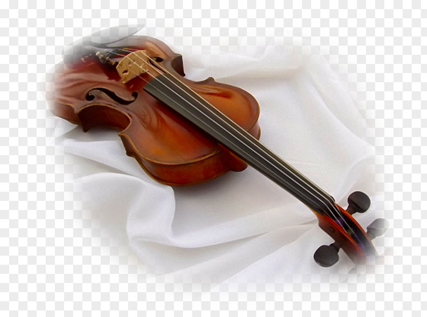 Violin Love Greeting Guestbook Morning PNG