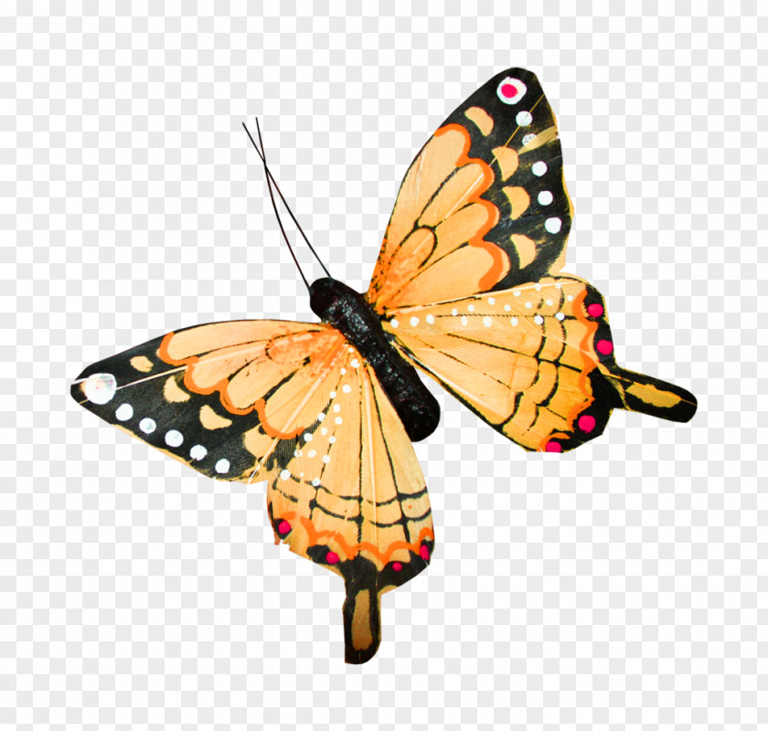 Butterfly Wings Icon PNG