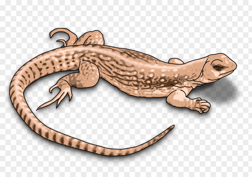 Lizard Komodo Dragon Clip Art PNG
