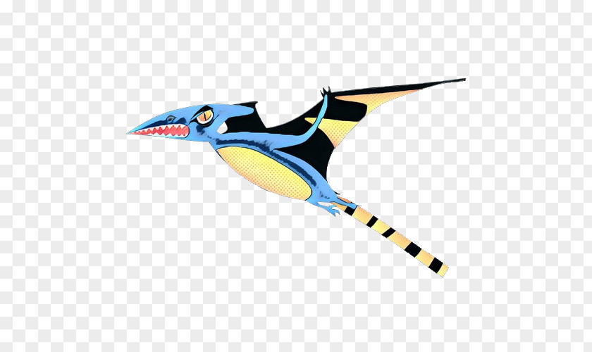 Piciformes Beak Bird Toucan PNG