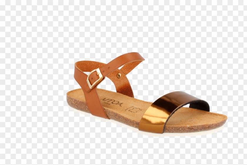 Sandal Slide Shoe PNG