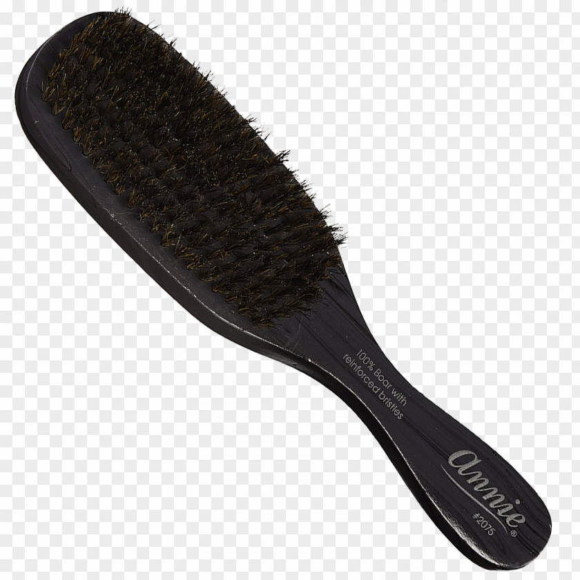Hair Hairbrush Care Bristle PNG