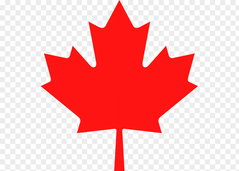Maple Leaf Canada White Flag Of Quebec PNG