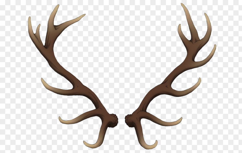 Watercolor Animals Reindeer Antler Elk Horn PNG