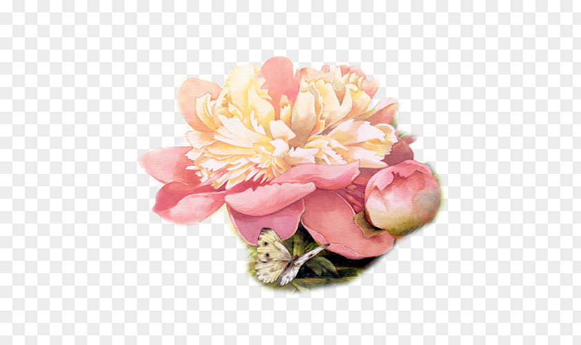A Chrysanthemum Tea Flower Bouquet Garden Roses PNG