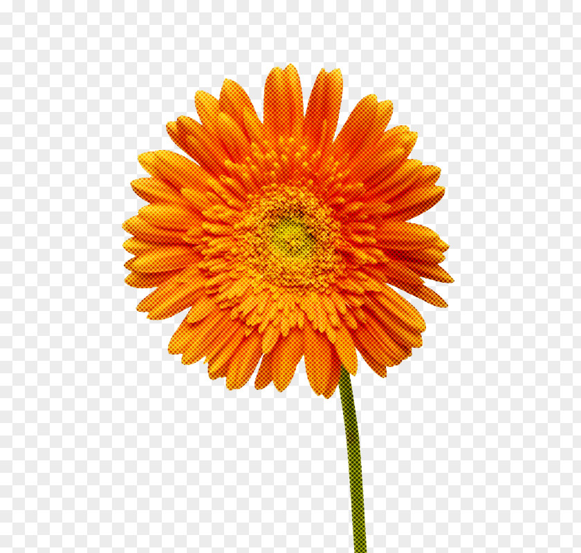 Artificial Flower PNG