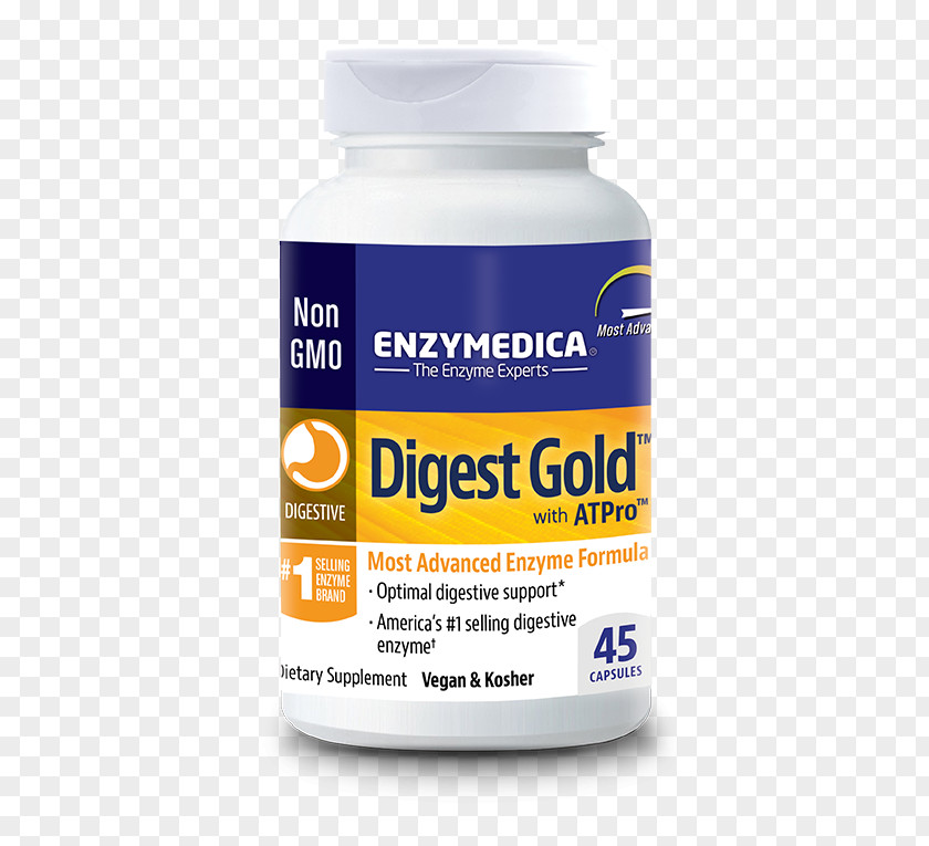 Digestive Enzyme Dietary Supplement Digestion Food PNG