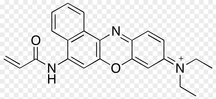 Lidocaine Pharmaceutical Drug Research Chemical Substance University Of Zaragoza PNG