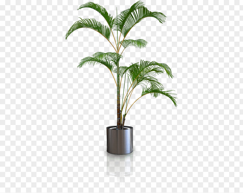 Plant Silhouette Flowerpot Clip Art PNG