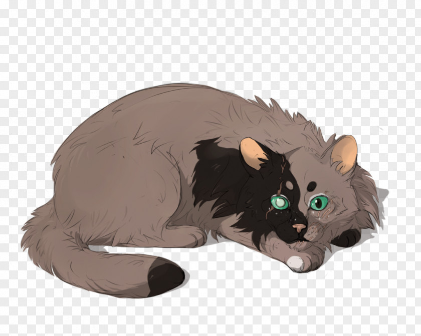 Sad Cat Whiskers Kitten Fauna Tail PNG