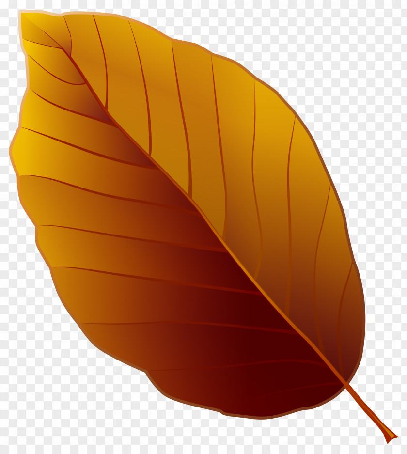 Autumn Leaf Clipart Image File Formats Filename Extension Computer PNG