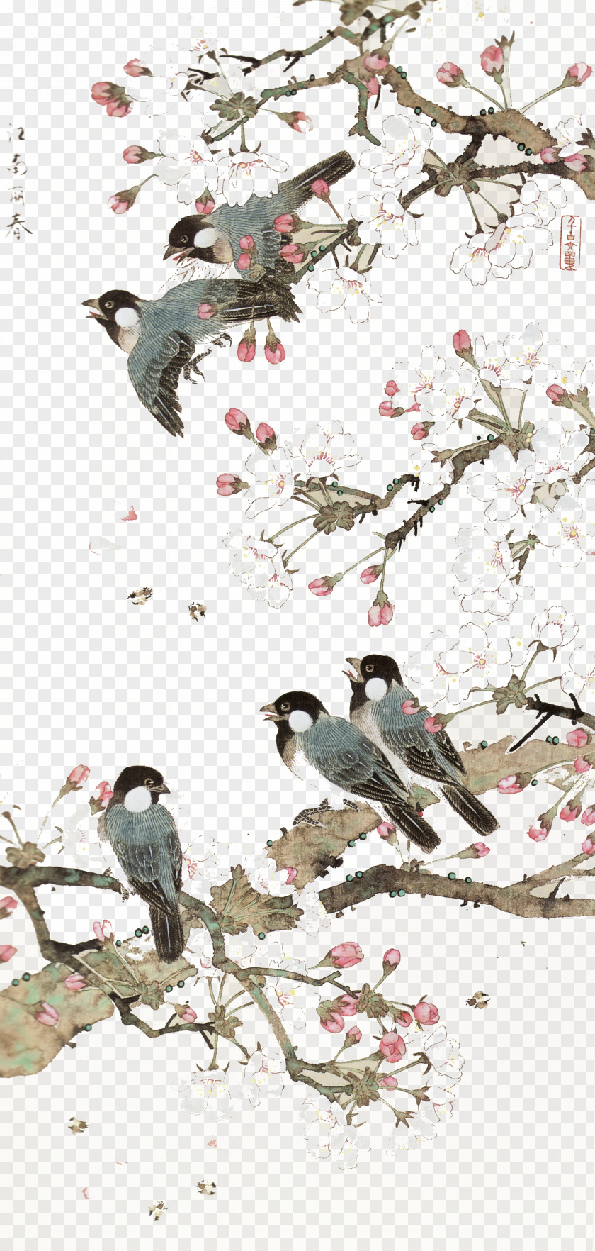 Bird Background China Bird-and-flower Painting Chinese Art PNG