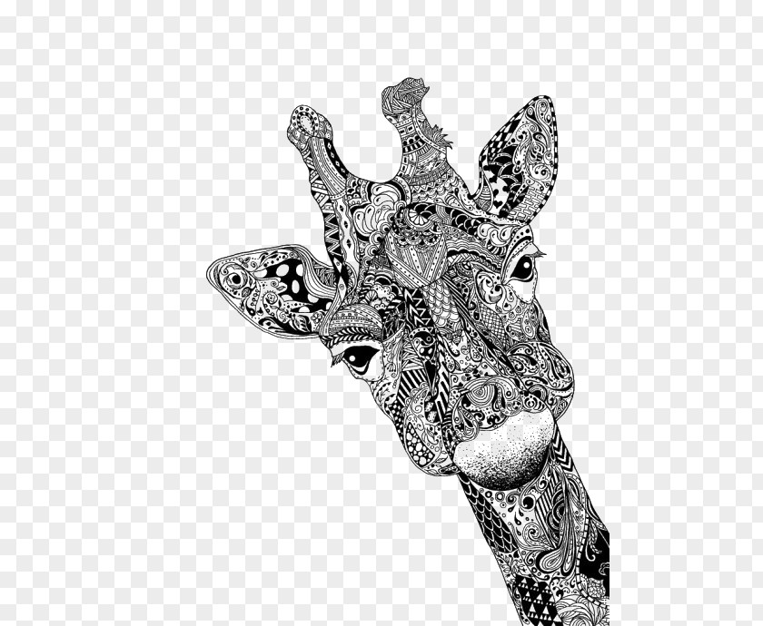 Black And White Line Art Deer Giraffe Drawing Animal Sketch PNG
